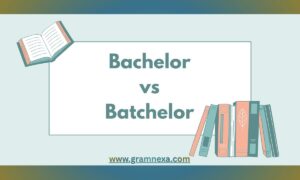 Bachelor vs Batchelor