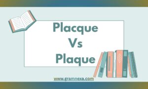 Placque Vs. Plaque