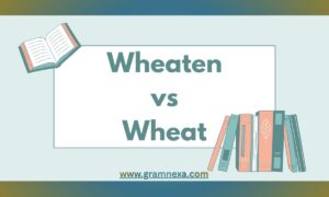 Wheaten vs Wheat