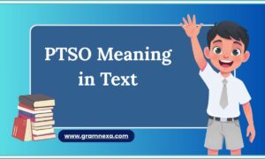 PTSO Meaning in Text