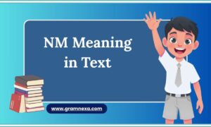NM Meaning in Text
